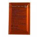 SafAle BE-134 11.5 g
